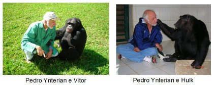 Pedro Ynterian with Vitor and Hulk